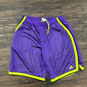 Large Adidas purple and green shorts